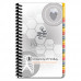 PApocket® Physician Assistant University of Findlay